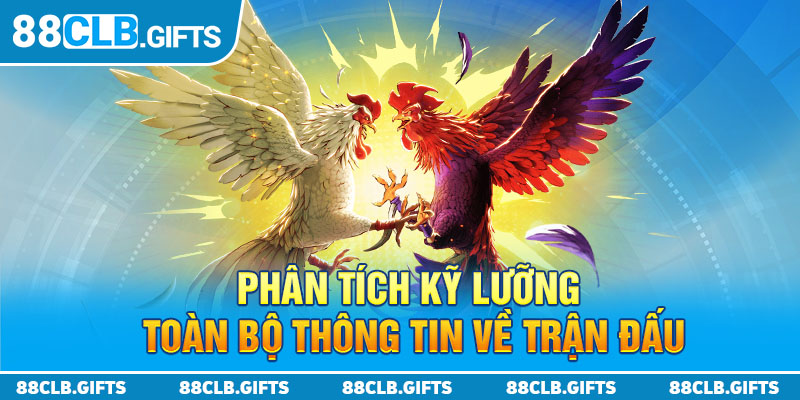 Phân tích kỹ lưỡng toàn bộ thông tin về trận đấu 